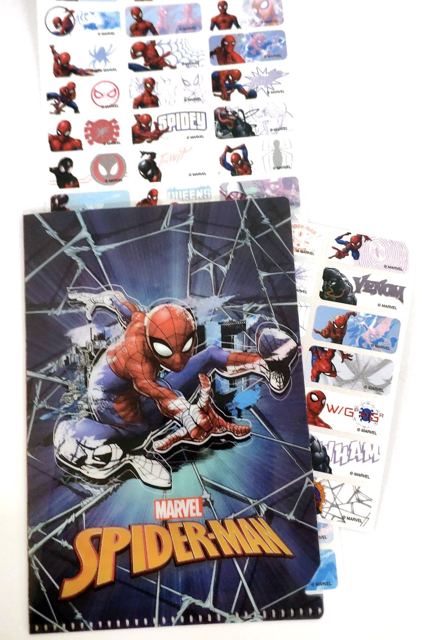 W080 THE SPIDERMAN (big)